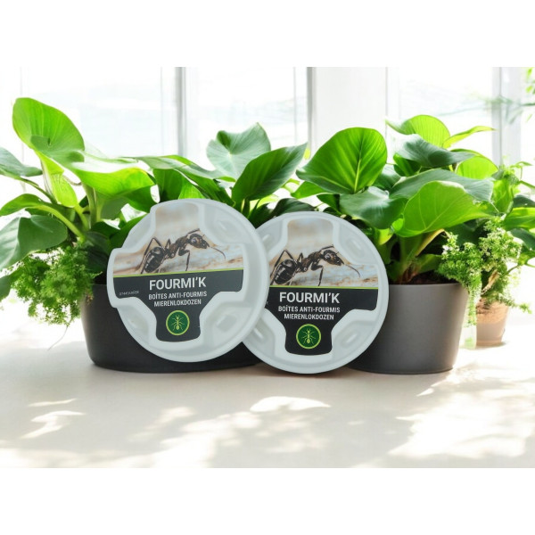 Boîte Appât Anti-Fourmis X2 Fourmi'K