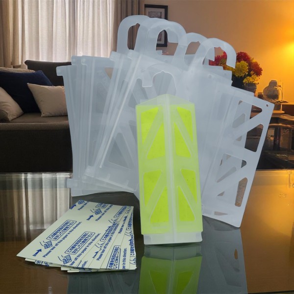 Pack AF DEMI DIAMOND Mouches à fruit (support + phéromone)