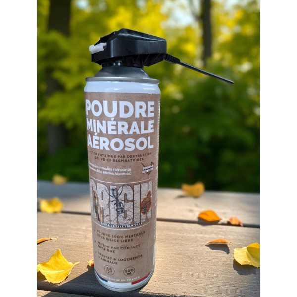 ORIGIN Poudre minérale Aérosol 500ml